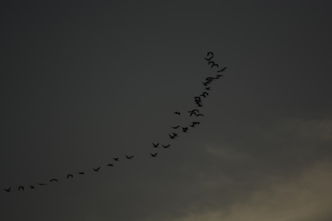 5 techniques de motivation